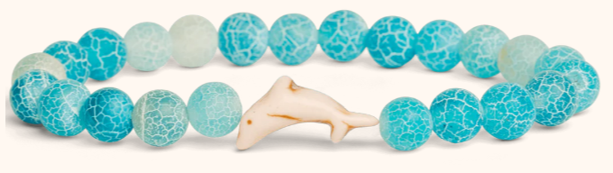 Fahlo Dolphin Tracking Bracelet