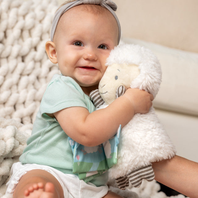 Mary Had A Little Lamb Soft Puppet Book
