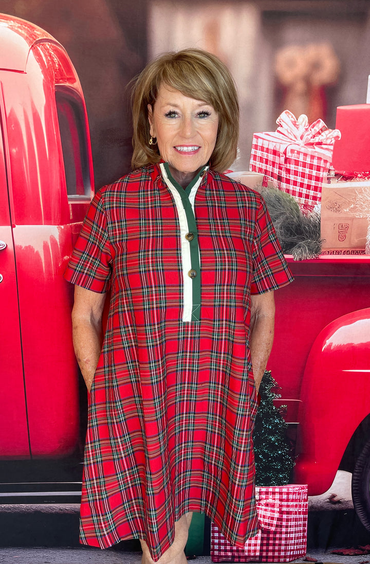 Party Gal In Plaid Dress