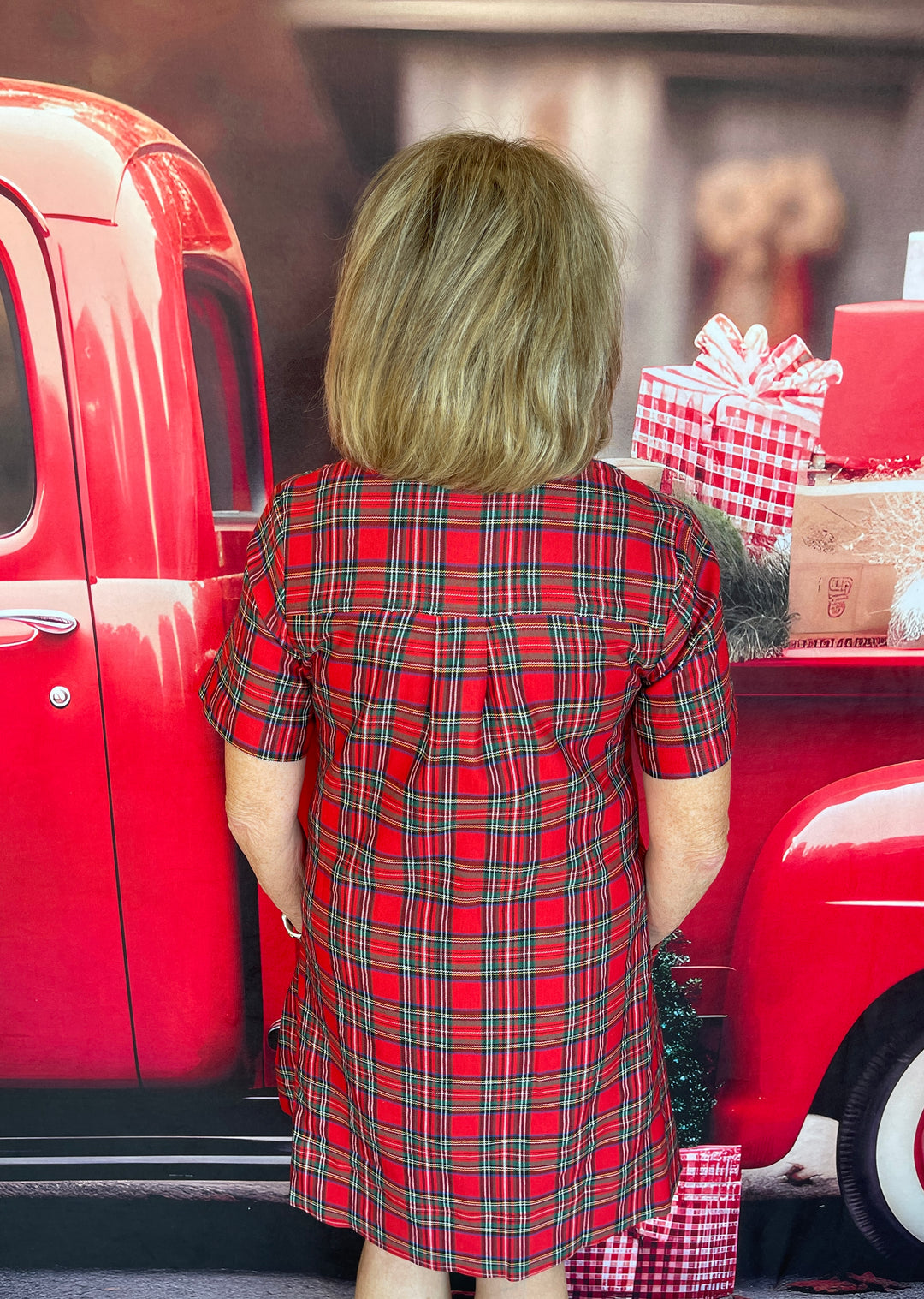 Party Gal In Plaid Dress