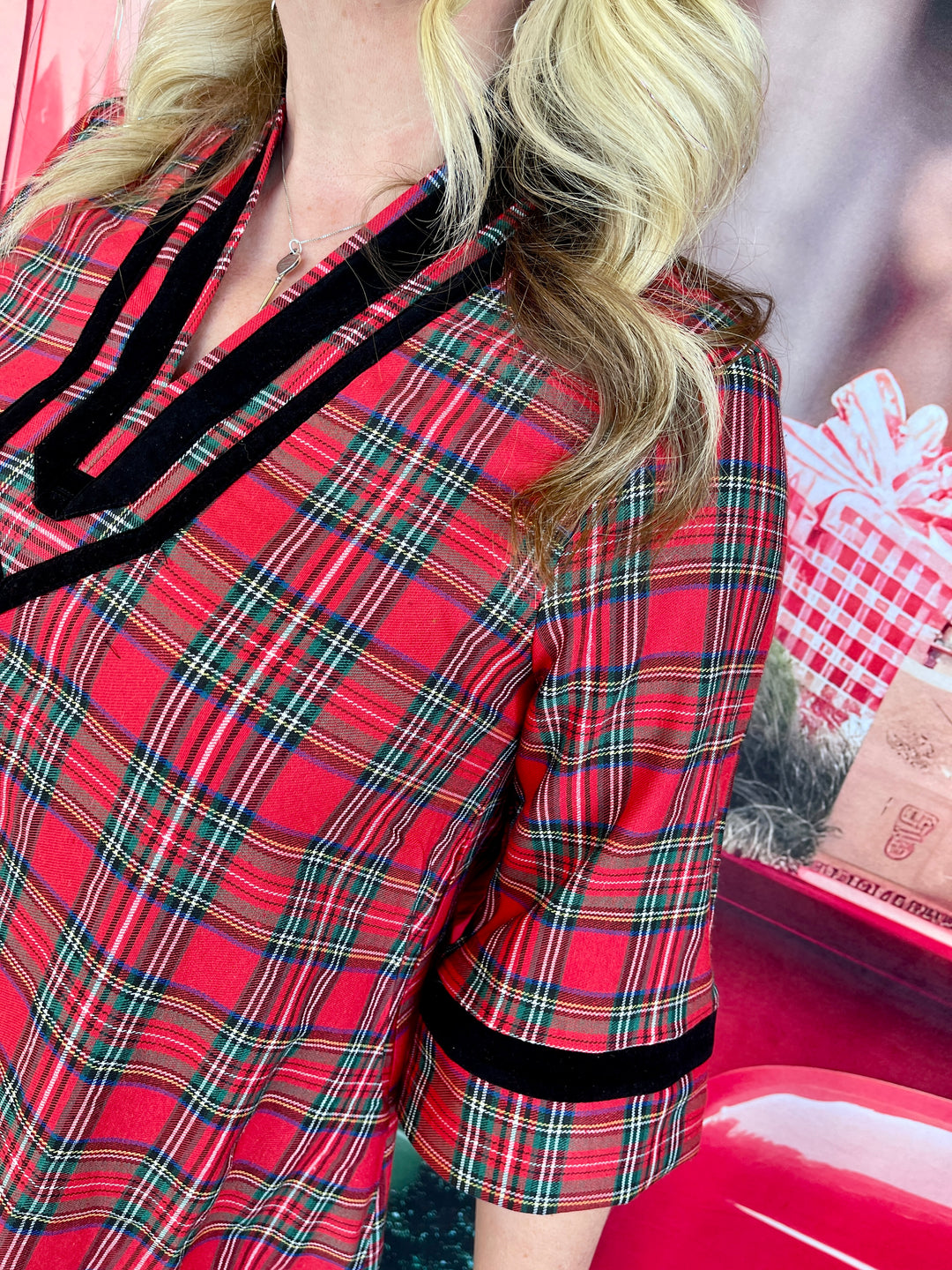 Rad And Plaid Dress