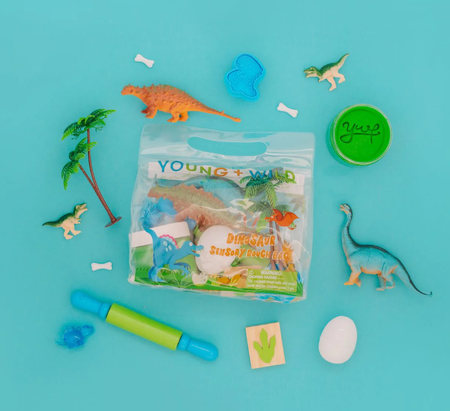 Sensory Dough Bag - Dinosaur