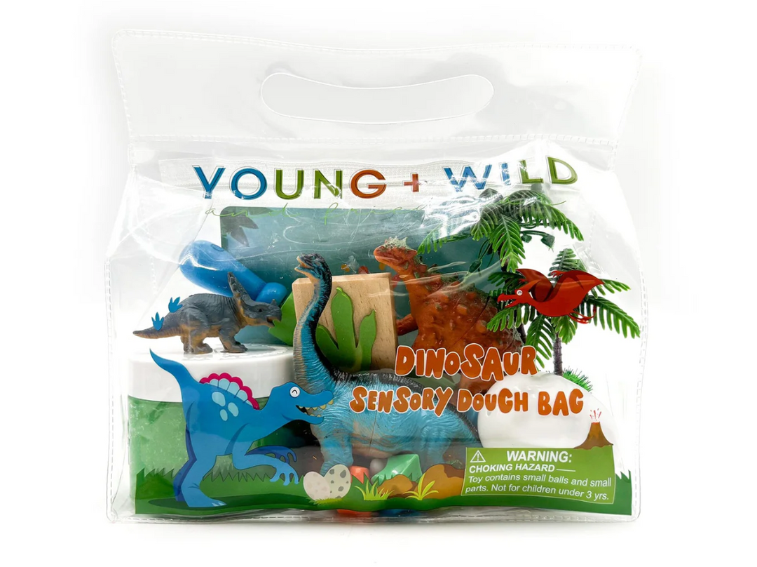 Sensory Dough Bag - Dinosaur
