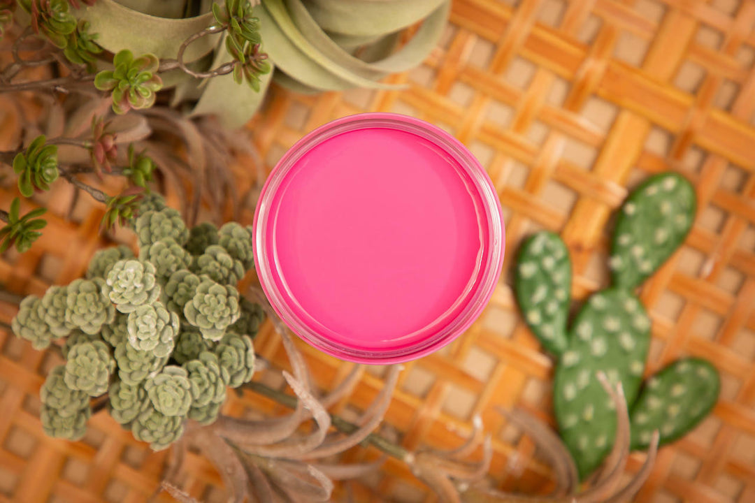 Prickly Pear Silk Paint